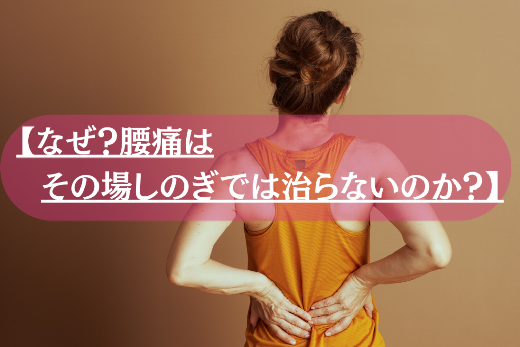 【西宮で腰痛改善】整体と骨盤矯正で根本から変わる身体づくり