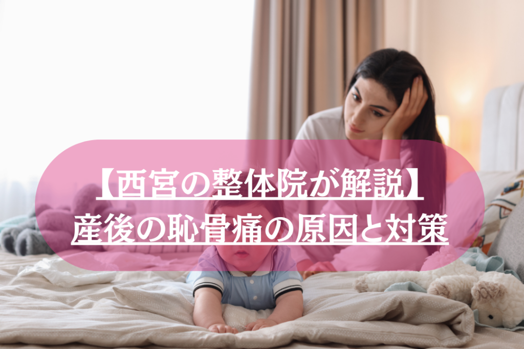 西宮の整体が解説｜産後の恥骨痛の原因と対策について