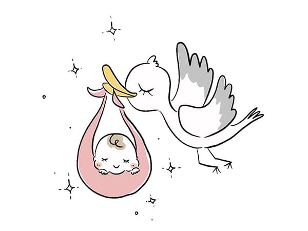コウノトリが赤ちゃんを運んでいるイラスト